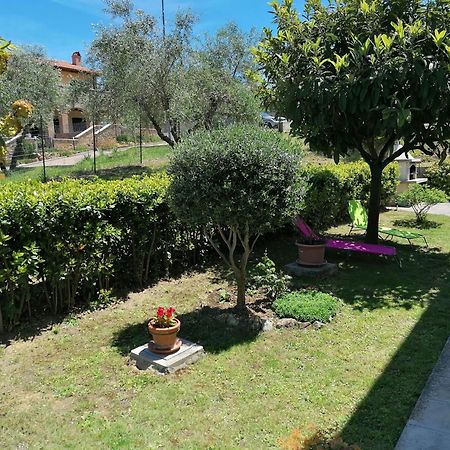 Goccia In Valdorcia Smart Home San Quirico dʼOrcia Екстериор снимка