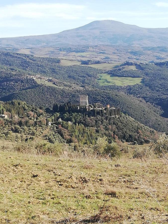 Goccia In Valdorcia Smart Home San Quirico dʼOrcia Екстериор снимка