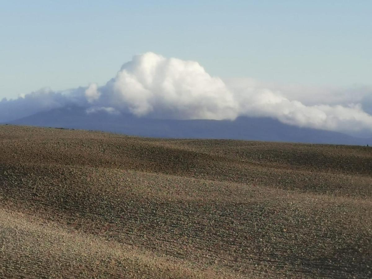 Goccia In Valdorcia Smart Home San Quirico dʼOrcia Екстериор снимка