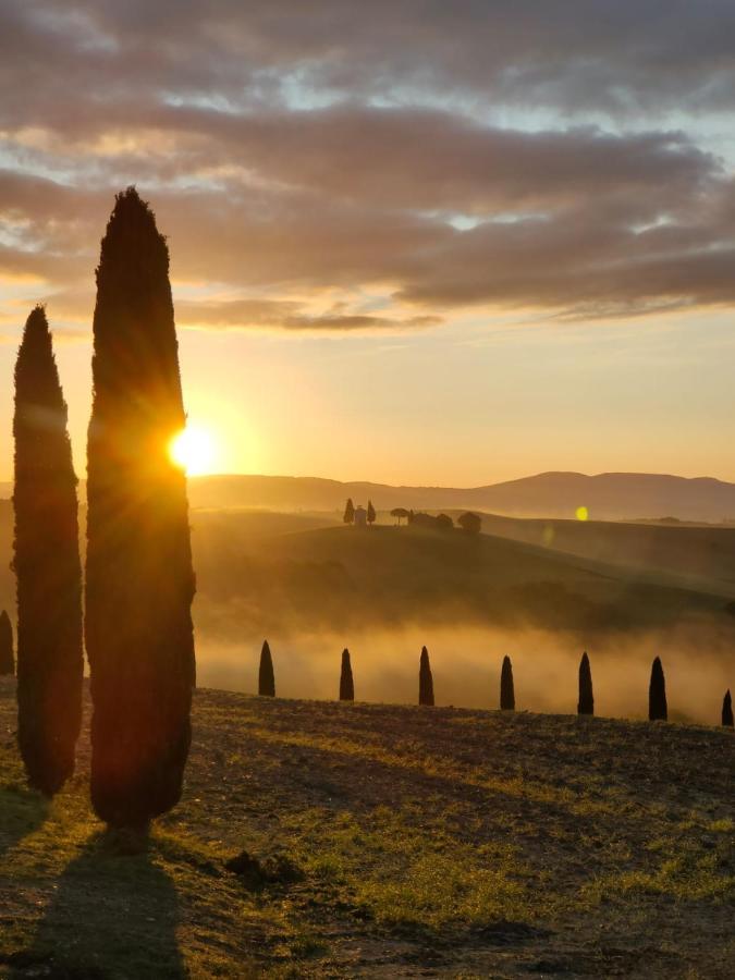 Goccia In Valdorcia Smart Home San Quirico dʼOrcia Екстериор снимка